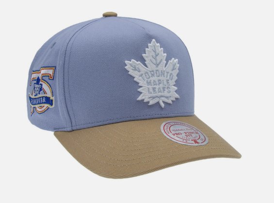 Kšiltovka Toronto Maple Leafs Frosted Peak Pro Pinch